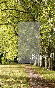 花都周边债务纠纷律师费用 花都周边债务纠纷律师费用