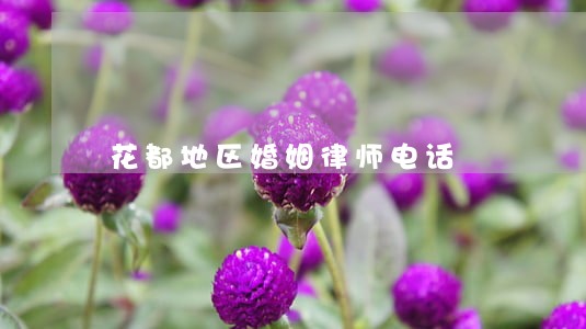 花都地区婚姻律师电话 花都地区婚姻律师电话