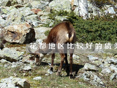 花都地区比较好的债务律师推荐 花都地区比较好的债务律师推荐