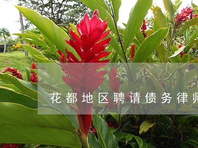 花都地区聘请债务律师电话多少 花都地区聘请债务律师电话多少