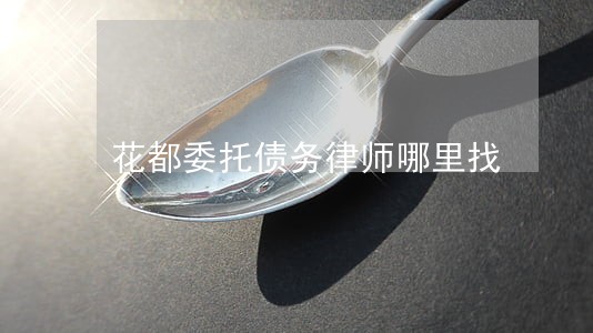 花都委托债务律师哪里找 花都委托债务律师哪里找