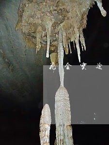 花金宝逾期一个月 花金宝逾期一个月