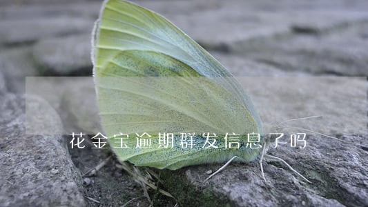 花金宝逾期群发信息了吗 花金宝逾期群发信息了吗
