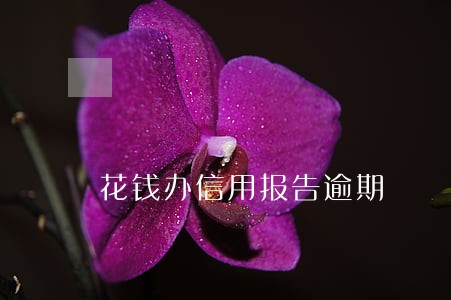 花钱办信用报告逾期 花钱办信用报告逾期
