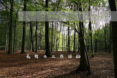 花钱办工作诉讼 花钱办工作诉讼