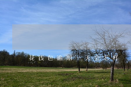 花钱包逾期一天会怎样 花钱包逾期一天会怎样