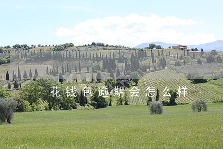 花钱包逾期会怎么样 花钱包逾期会怎么样