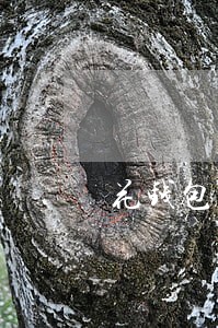 花钱包逾期会赔吗 花钱包逾期会赔吗
