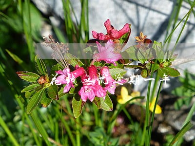 花钱无忧逾期一年 花钱无忧逾期一年