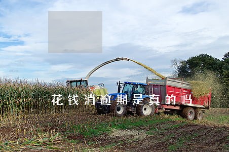 花钱消逾期是真的吗 花钱消逾期是真的吗