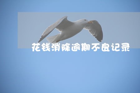 花钱消除逾期不良记录 花钱消除逾期不良记录