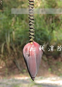 花钱消除逾期是真的吗 花钱消除逾期是真的吗