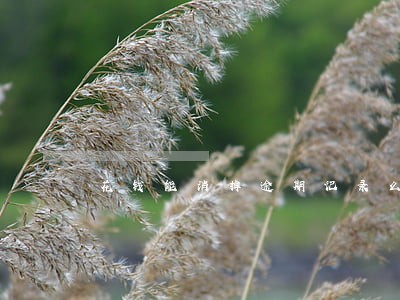 花钱能消掉逾期记录么 花钱能消掉逾期记录么