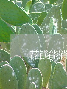 花钱能消除逾期记录吗 花钱能消除逾期记录吗