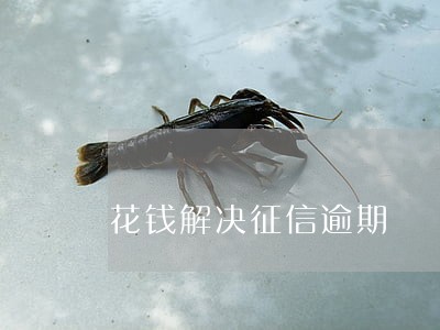 花钱解决征信逾期 花钱解决征信逾期