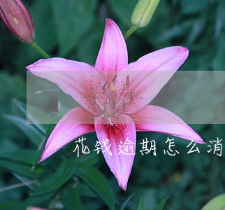 花钱逾期怎么消除 花钱逾期怎么消除