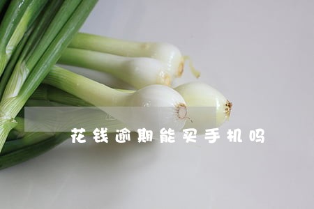 花钱逾期能买手机吗 花钱逾期能买手机吗