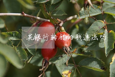 花银行转错的钱违法吗