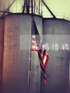 花鸭借钱无逾期能借到吗 花鸭借钱无逾期能借到吗