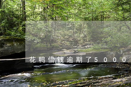 花鸭借钱逾期了5000怎么办 花鸭借钱逾期了5000怎么办