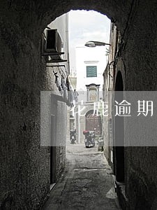 花鹿逾期两天 花鹿逾期两天