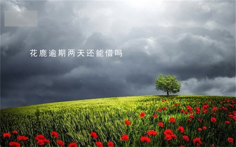 花鹿逾期两天还能借吗 花鹿逾期两天还能借吗