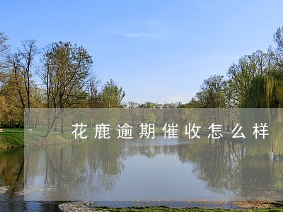 花鹿逾期催收怎么样 花鹿逾期催收怎么样