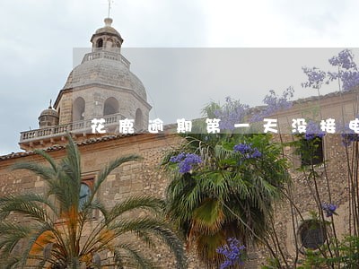 花鹿逾期第一天没接电话 花鹿逾期第一天没接电话