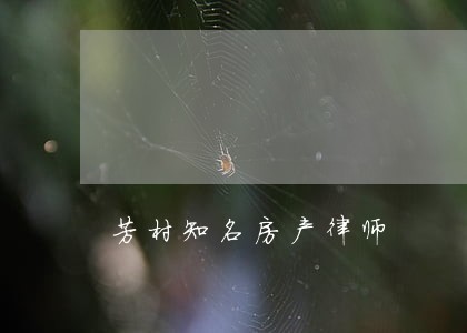 芳村知名房产律师 芳村知名房产律师