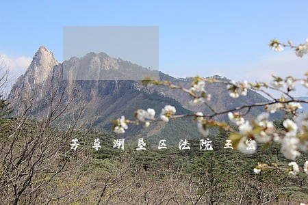 芳草湖垦区法院王宏 芳草湖垦区法院王宏