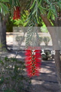 芸豆借款逾期一天会怎样 芸豆借款逾期一天会怎样
