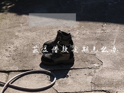 芸豆借款逾期怎么办 芸豆借款逾期怎么办