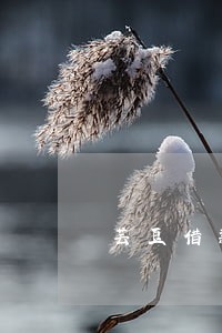 芸豆借款逾期怎么协商 芸豆借款逾期怎么协商