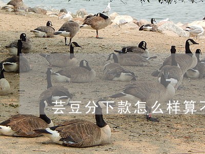 芸豆分下款怎么样算不是逾期 芸豆分下款怎么样算不是逾期