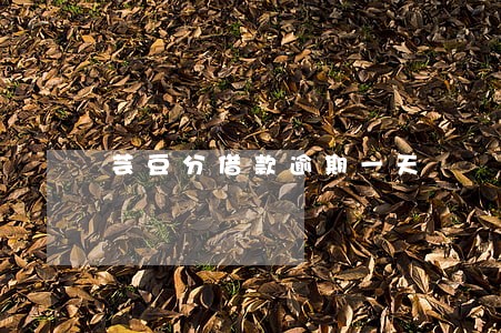 芸豆分借款逾期一天 芸豆分借款逾期一天