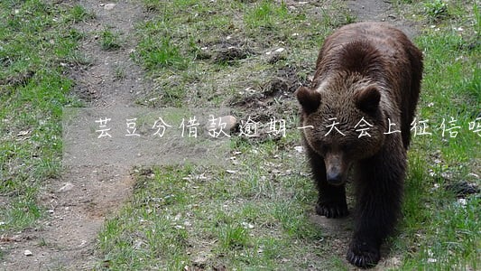 芸豆分借款逾期一天会上征信吗 芸豆分借款逾期一天会上征信吗