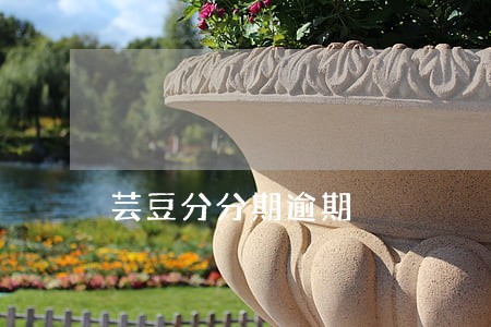 芸豆分分期逾期 芸豆分分期逾期