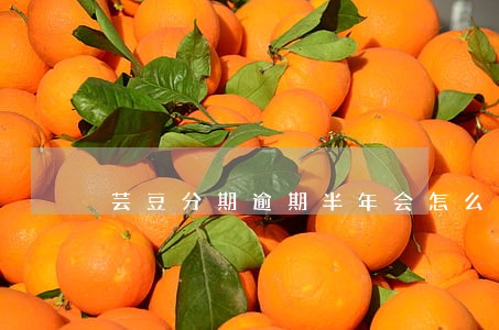 芸豆分期逾期半年会怎么样 芸豆分期逾期半年会怎么样