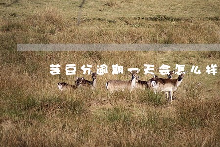 芸豆分逾期一天会怎么样 芸豆分逾期一天会怎么样