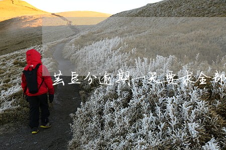 芸豆分逾期一天要求全部结清 芸豆分逾期一天要求全部结清