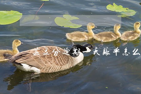 芸豆分逾期一天账单怎么没了 芸豆分逾期一天账单怎么没了