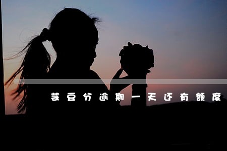 芸豆分逾期一天还有额度吗 芸豆分逾期一天还有额度吗