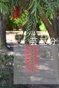 芸豆分逾期会上征信么 芸豆分逾期会上征信么