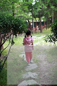 芸豆分逾期必须还全款吗 芸豆分逾期必须还全款吗