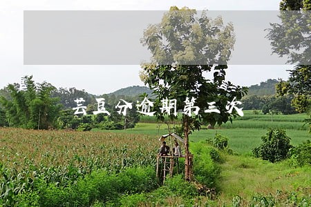 芸豆分逾期第三次 芸豆分逾期第三次