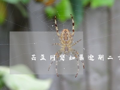 芸豆网贷如果逾期二十天怎么办 芸豆网贷如果逾期二十天怎么办