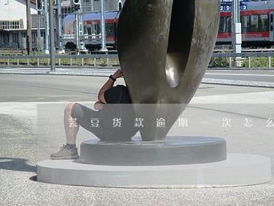 芸豆货款逾期一次怎么要一次还完 芸豆货款逾期一次怎么要一次还完