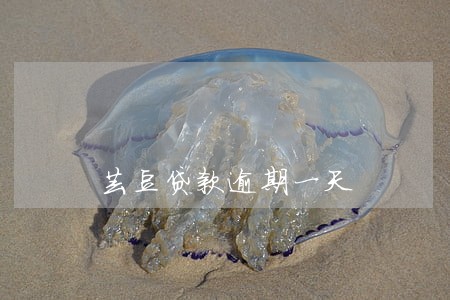 芸豆贷款逾期一天 芸豆贷款逾期一天