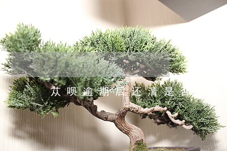 苁呗逾期后还清是否还有额度 苁呗逾期后还清是否还有额度