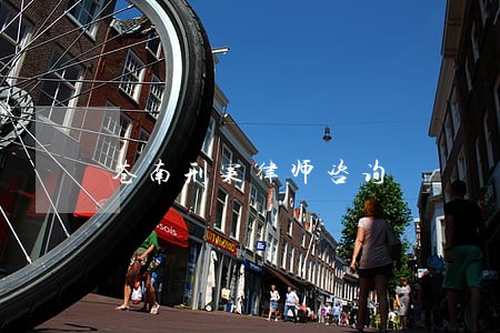 苍南刑案律师咨询 苍南刑案律师咨询